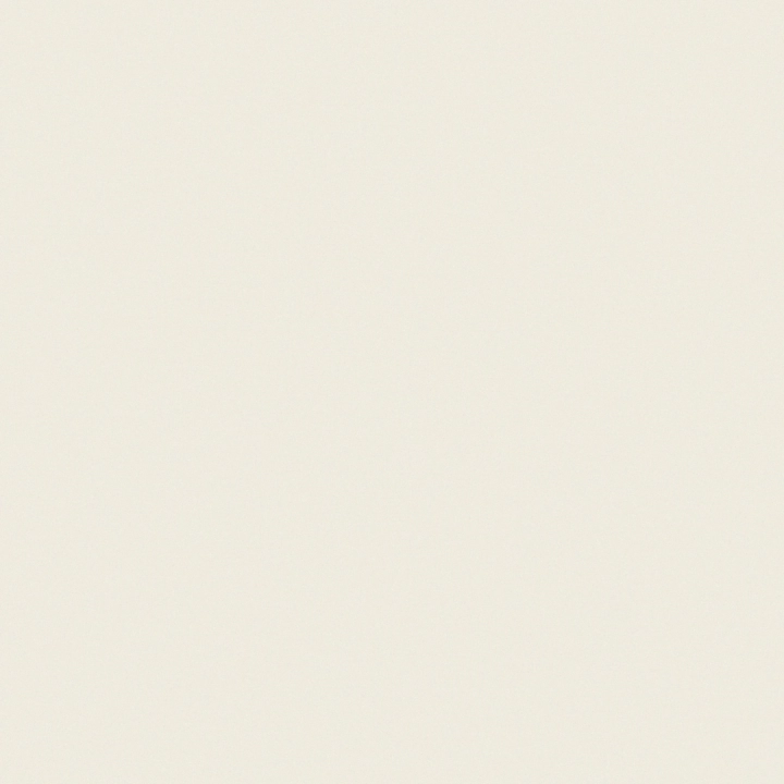 Cotto D'este Black White Superwhite gładka 100x100 cm gr. 4 mm